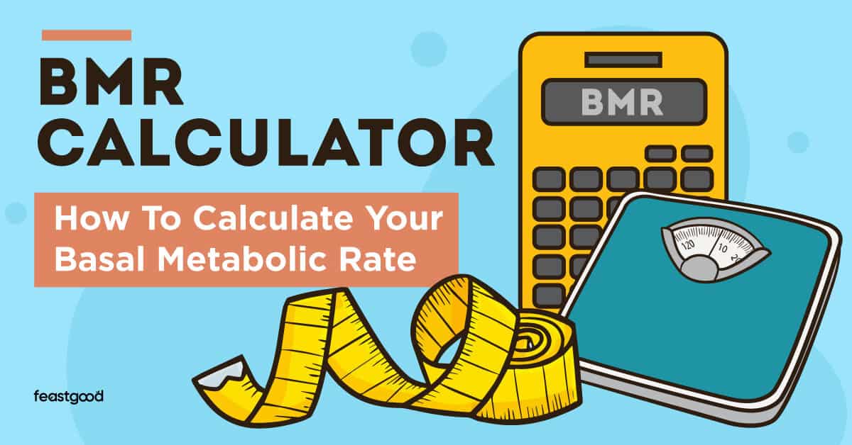 BMR Calculator