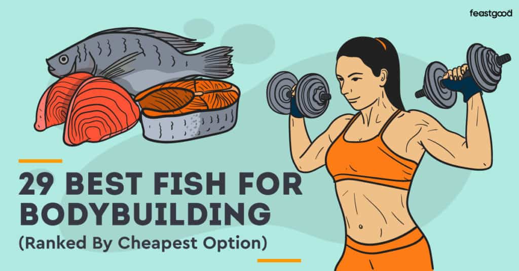 29 Best Fish For Bodybuilding (Ordered By Cheapest Option)