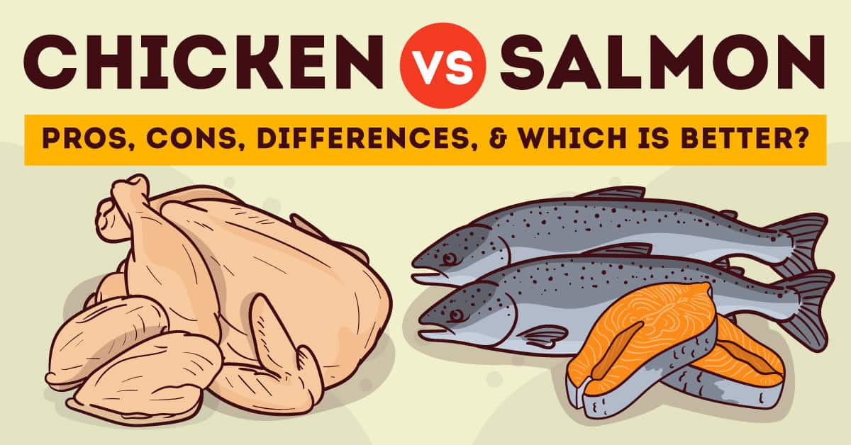 Chicken vs. Salmon: pros, cons, differences, & which is better?