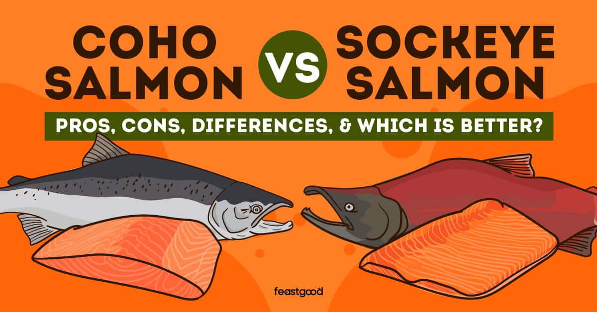 Coho salmon vs. Sockeye salmon Pros, cons, differences, and Which is better