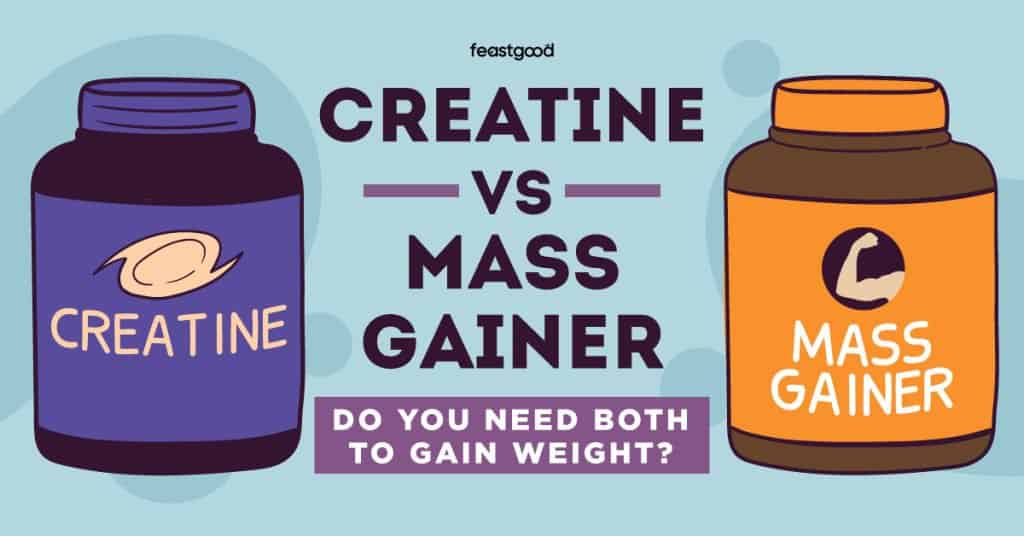 Creatine vs Mass Gainer