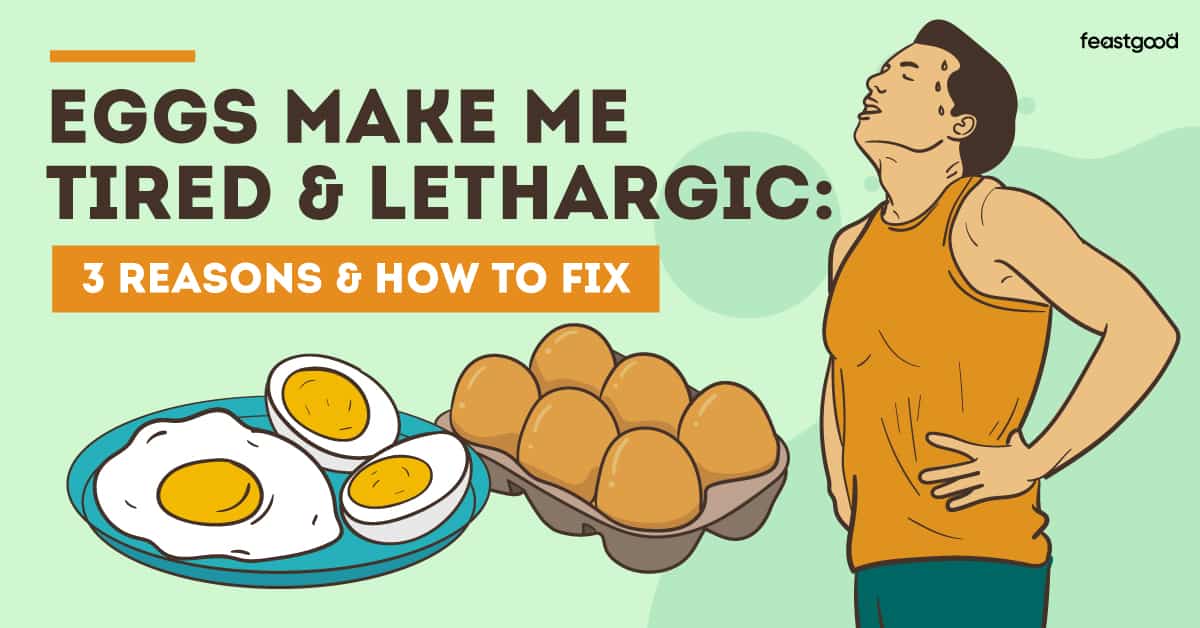 Eggs Make Me Tired & Lethargic 3 Reasons & How To Fix