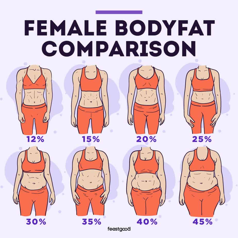 Female body fat percentage comparison 