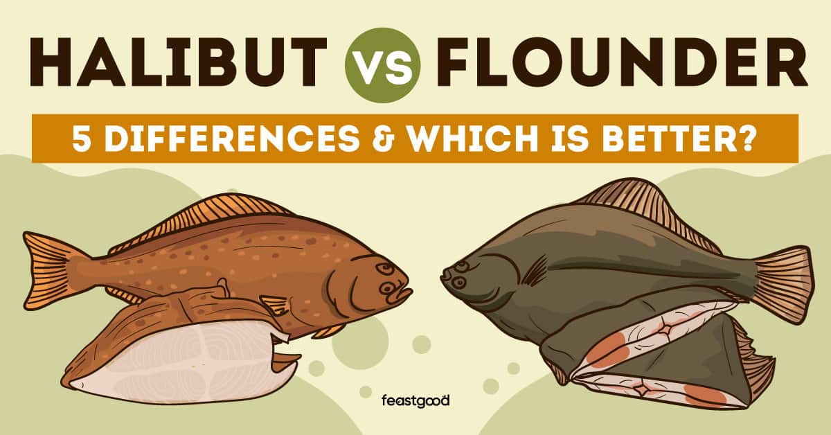 Halibut vs. Flounder 5 Differences & Which Is Better