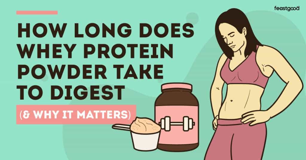 How long does whey protein powder take to digest (& why it matters)