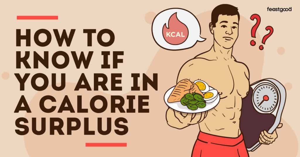 How to know if you are in a calorie surplus