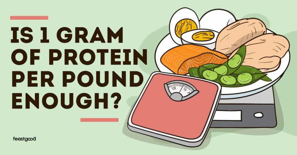 Is 1 gram of protein per pound enough