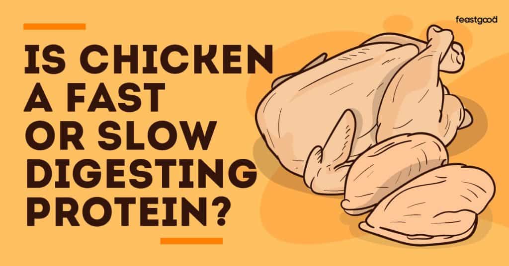 Is chicken a fast or slow digesting protein