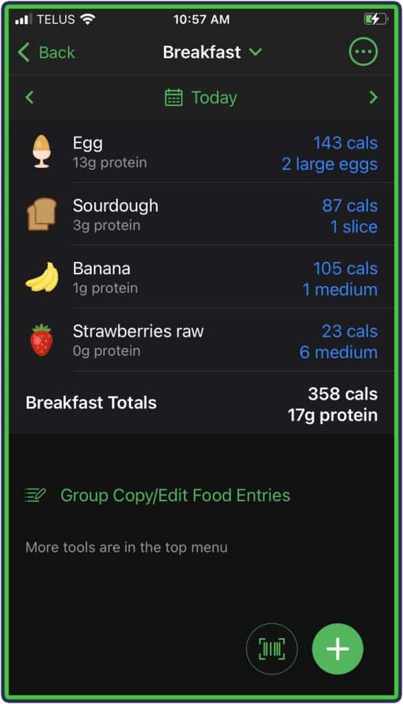 MyNetDiary breakfast food log analysis