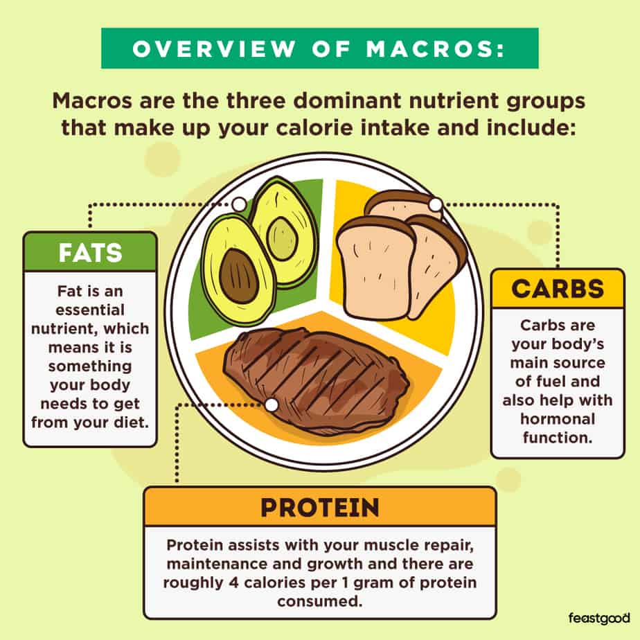 Overview of Macros Carb, Protein, and Fat