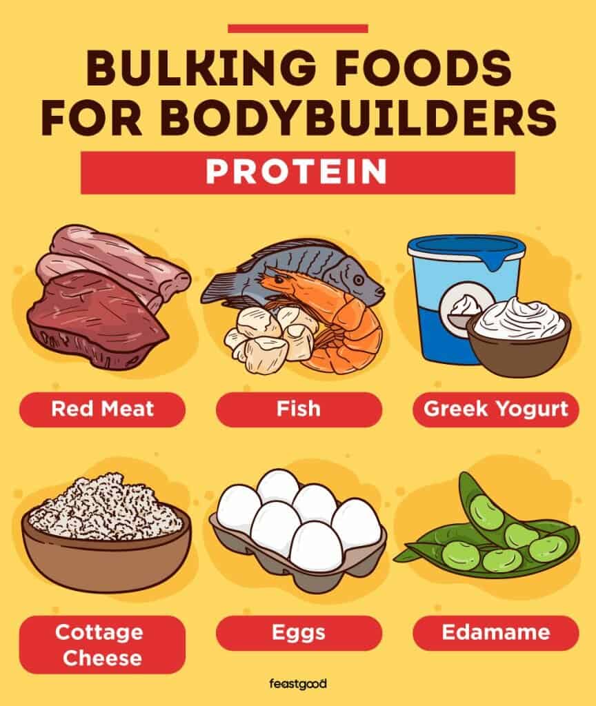 Protein bulking foods for bodybuilders