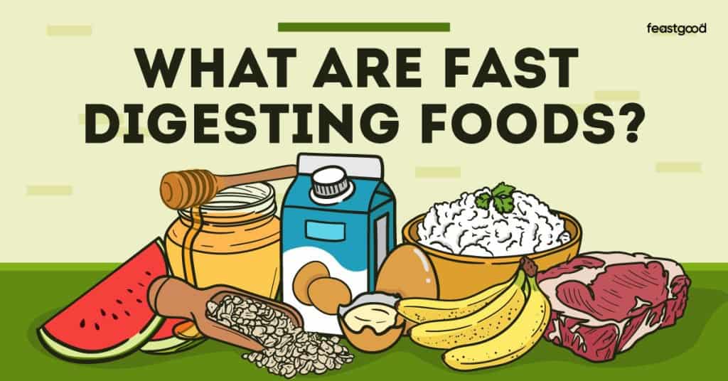 What are fast digesting foods?