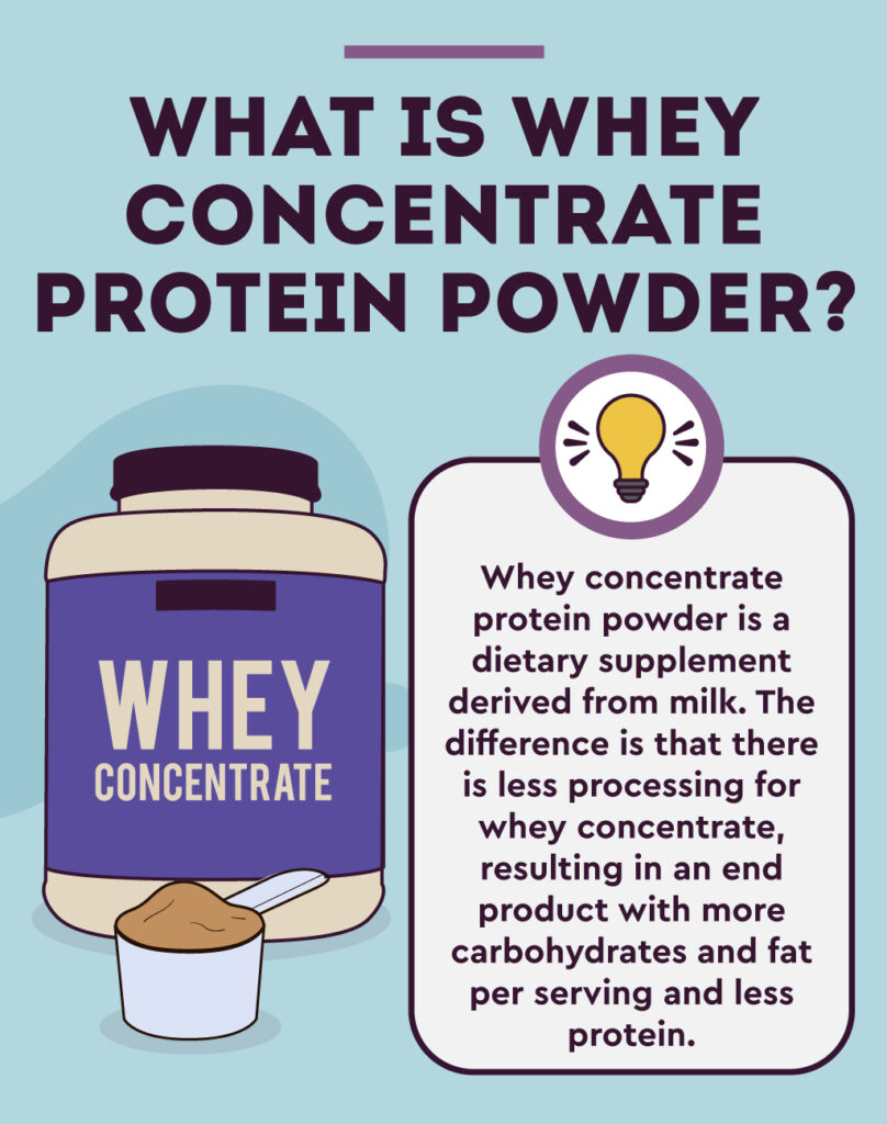 What is whey concentrate protein powder