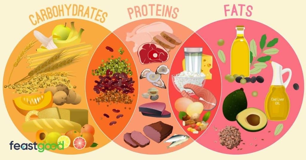 What is the best macro split for weight loss?